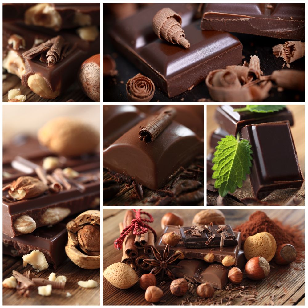 Schokolade als Leckerlie für Zwergpinscher