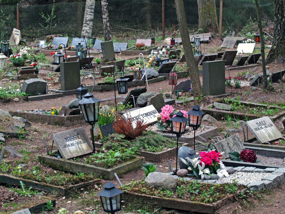 Zwergpinscher auf dem Tierfriedhof begraben